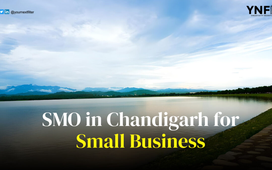 Social Media Optimization In Chandigarh: Dos and Don’t for small Businesses